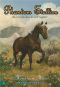 [Phantom Stallion 17] • Mountain Mare